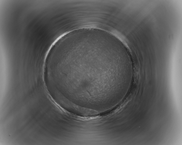 X0000087511076200704271118