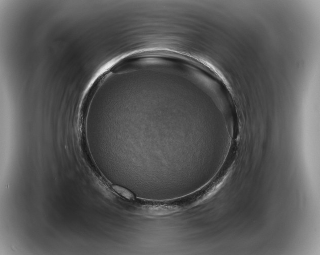 X0000087511077200704271118
