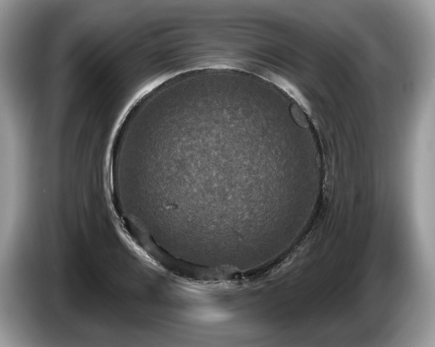 X0000087511080200704271118