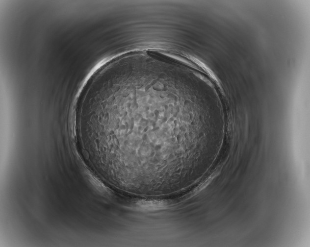 X0000087511083200704271118