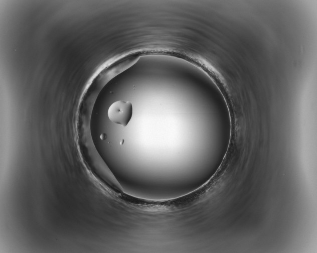 X0000087511085200704271118