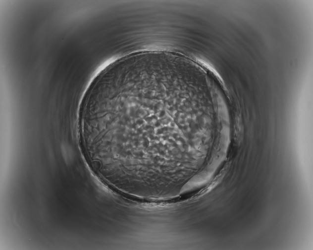 X0000087511087200704271118