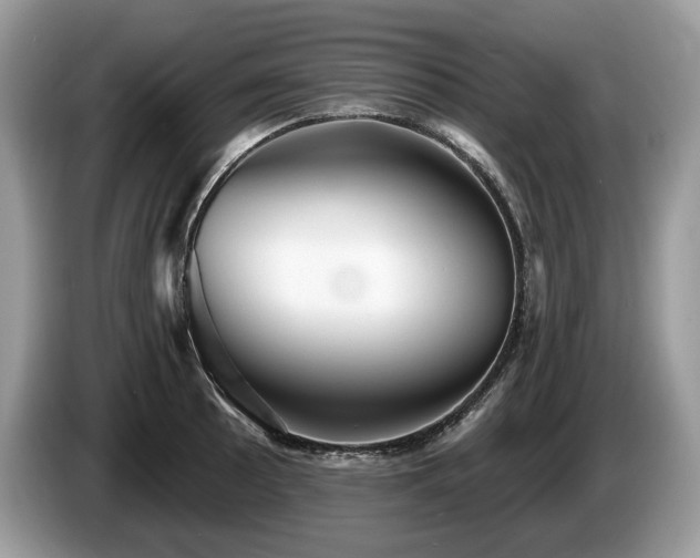 X0000087511089200704271118