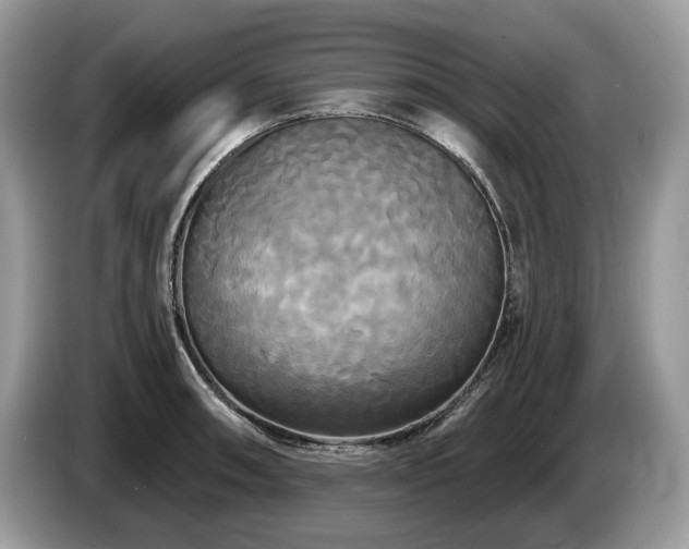 X0000087511090200704271118