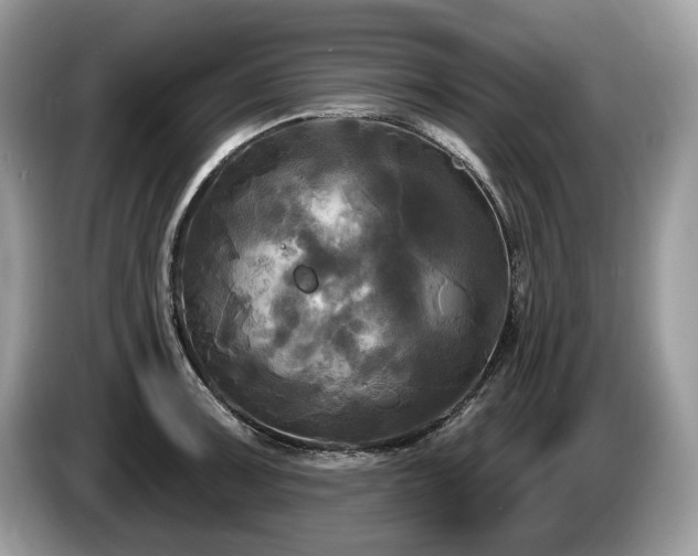 X0000087511091200704271118