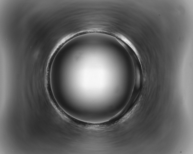 X0000087511093200704271118