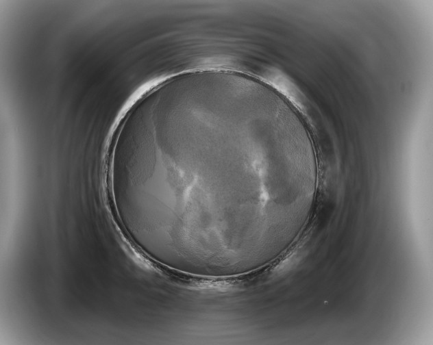 X0000087511094200704271118