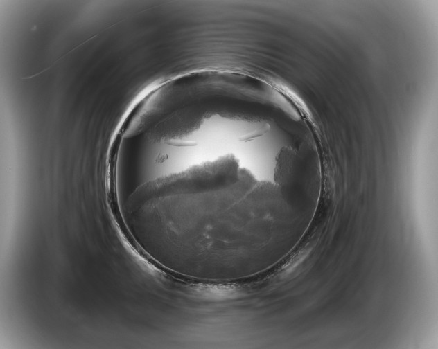 X0000087511095200704271118