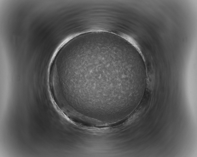 X0000087511096200704271118