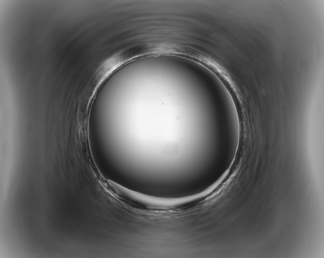 X0000087511097200704271118