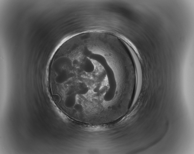 X0000087511099200704271118