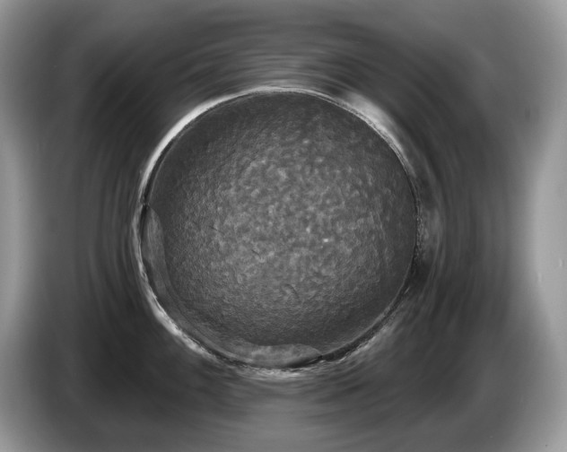 X0000087511100200704271118