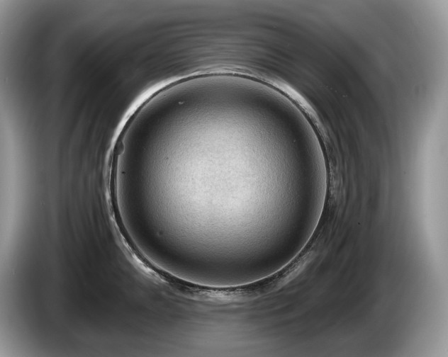 X0000087511102200704271118