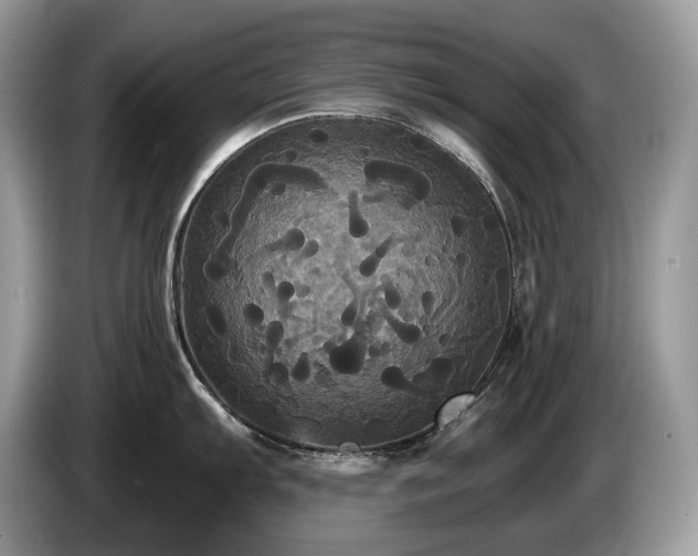 X0000087511103200704271118
