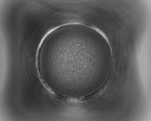 X0000087511104200704271118