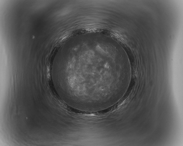 X0000087511106200704271118
