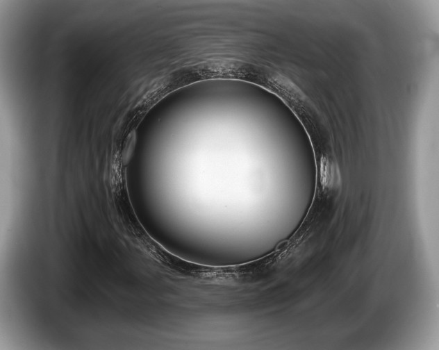 X0000087511107200704271118