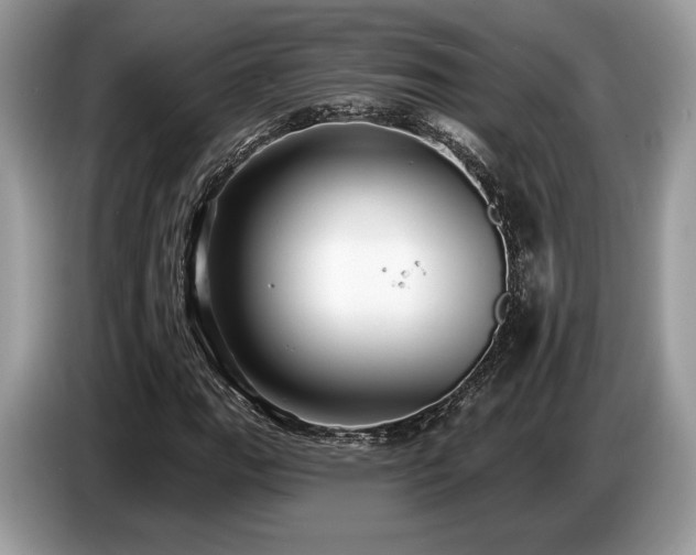 X0000087511111200704271118