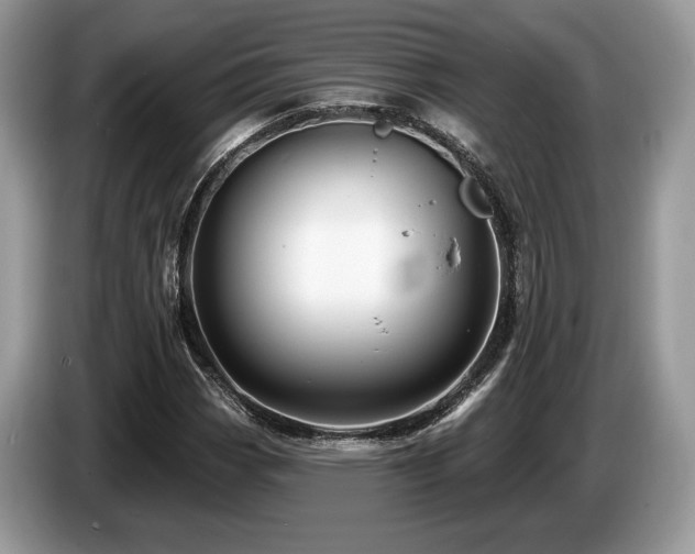 X0000087511113200704271118