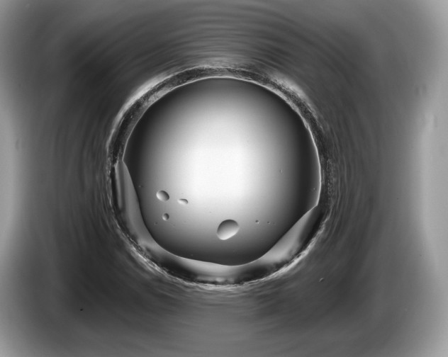 X0000087511114200704271118