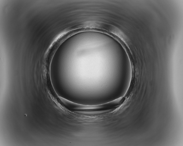 X0000087511115200704271118