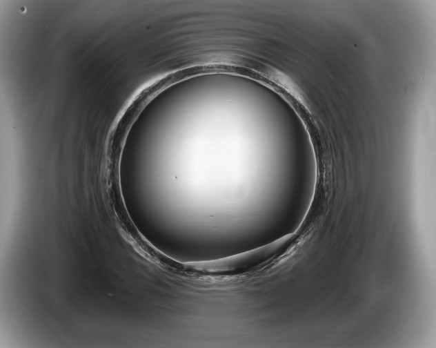 X0000087511116200704271118