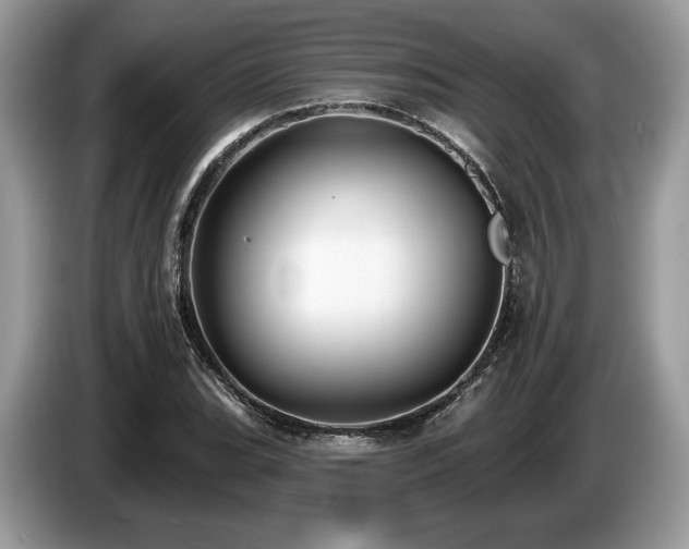 X0000087511119200704271118
