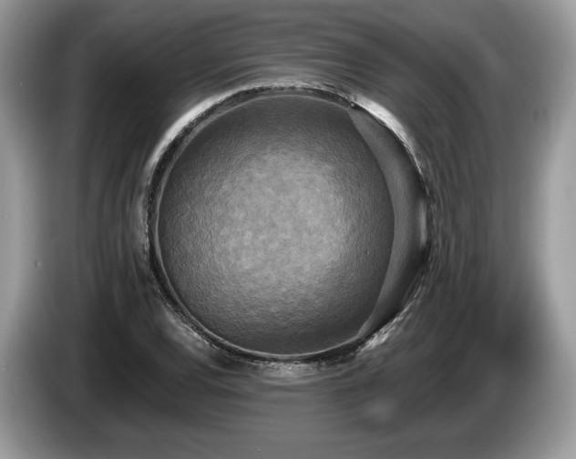 X0000087511120200704271118