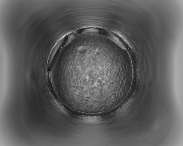 X0000087511121200704271118
