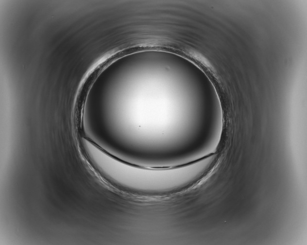 X0000087511122200704271118