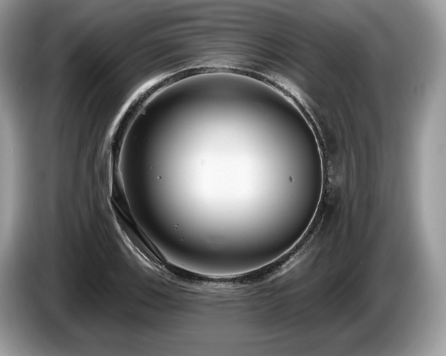 X0000087511123200704271118