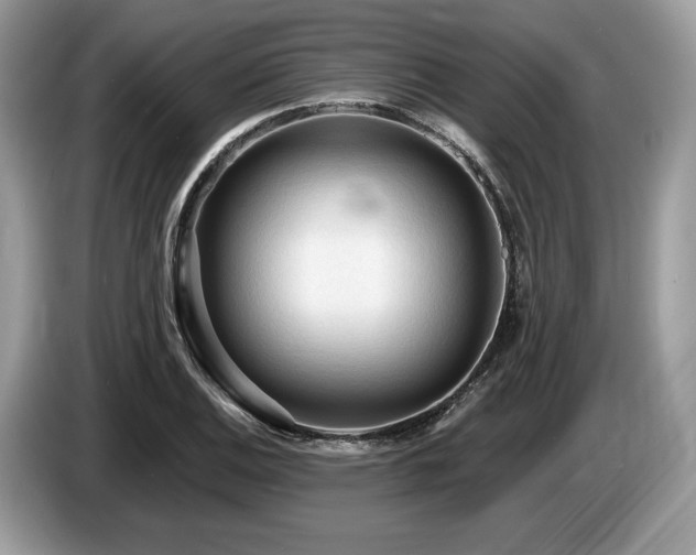 X0000087511124200704271118