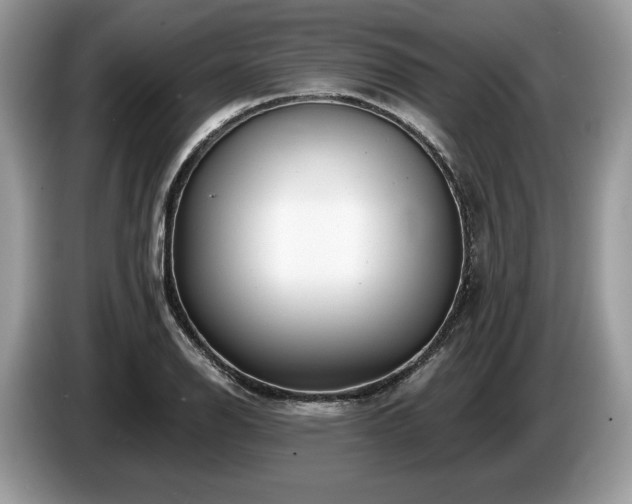X0000087511126200704271118
