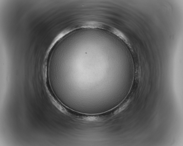X0000087511130200704271118