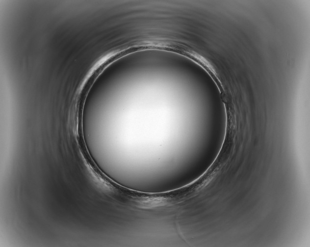 X0000087511131200704271118