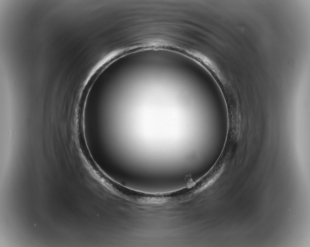 X0000087511134200704271118