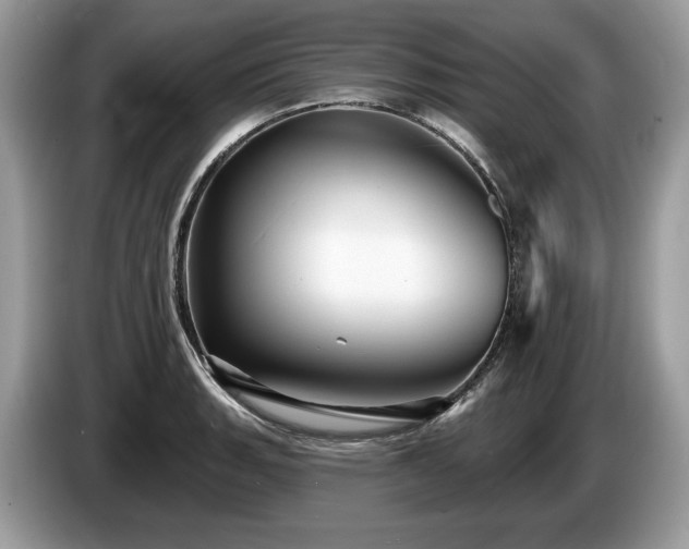 X0000087511135200704271118