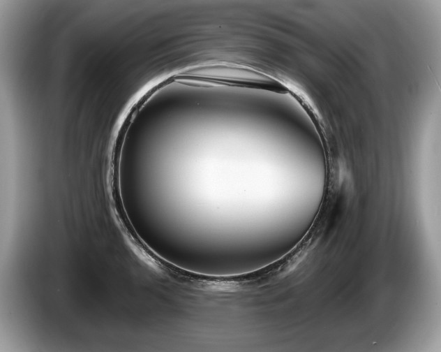 X0000087511136200704271118