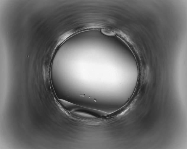 X0000087511137200704271118