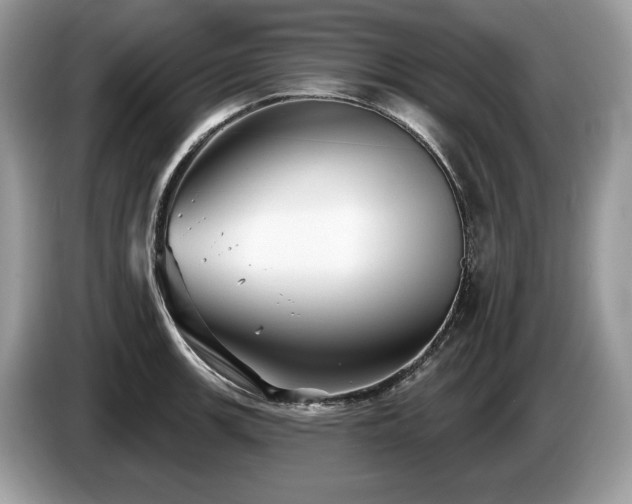 X0000087511139200704271118