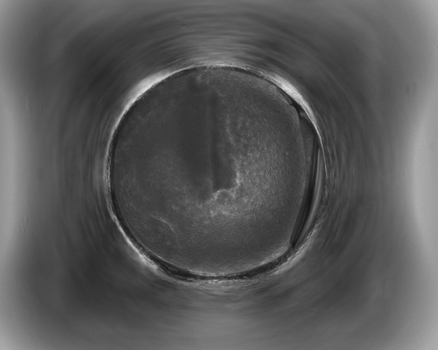 X0000087511141200704271118