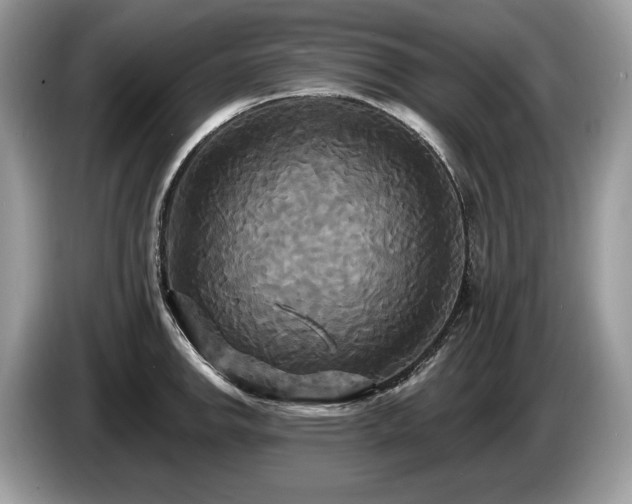 X0000087511142200704271118
