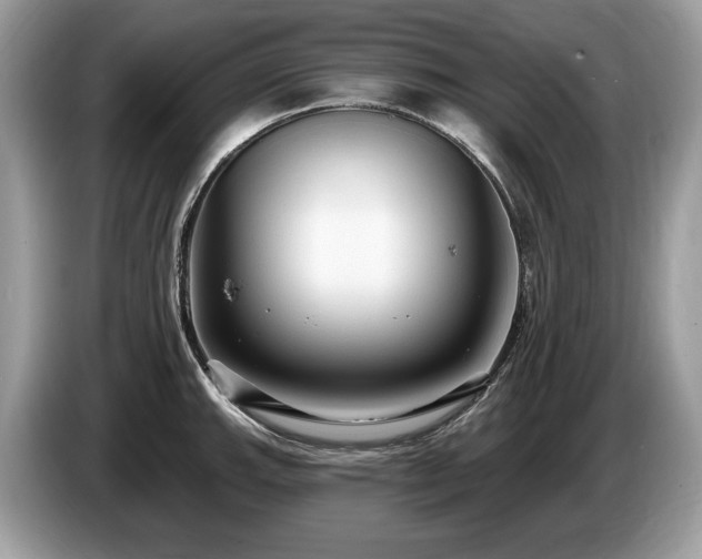 X0000087511143200704271118