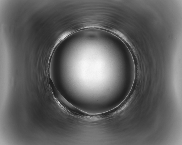X0000087511145200704271118