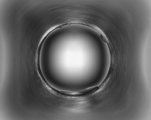 X0000087511149200704271118
