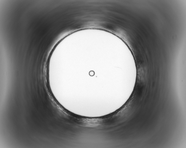 X0000087511150200704271118