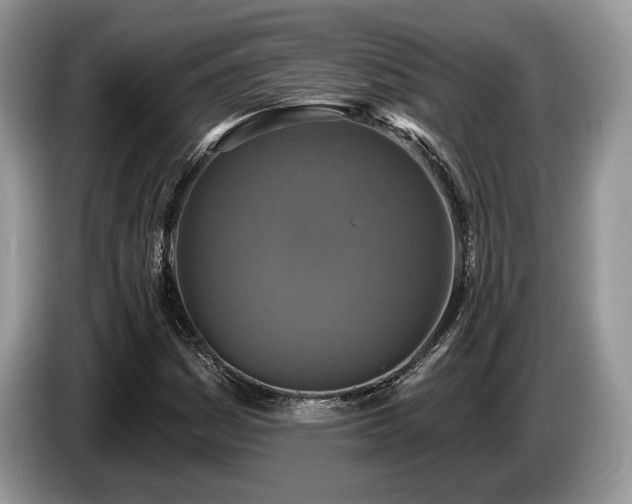 X0000087511161200704271117