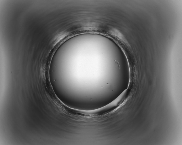 X0000087511162200704271117