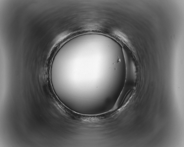 X0000087511164200704271117