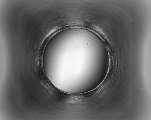 X0000087511165200704271117